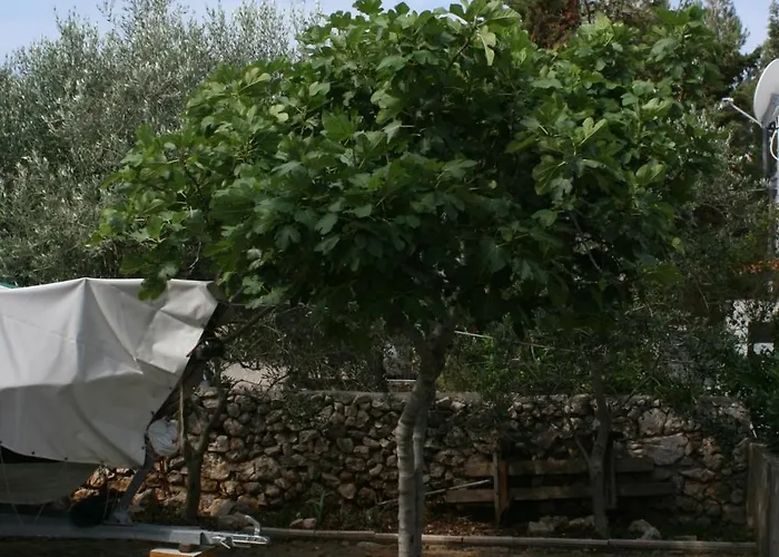 Apartman By The Sea Mandre, Pag - 6537 *